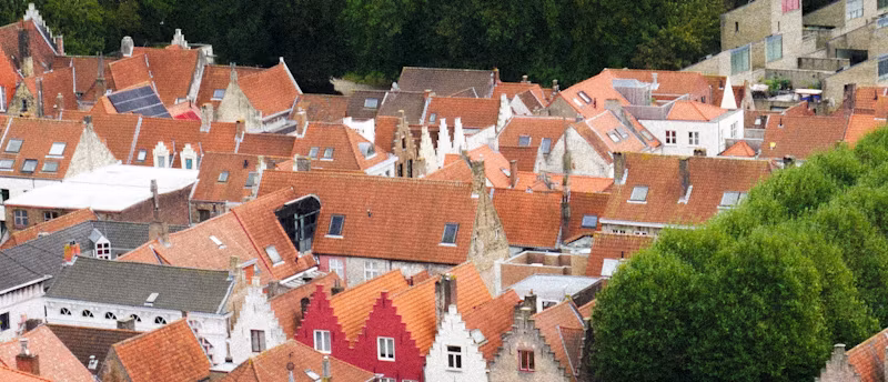 Looking down over the red-tiled roofs, dormers and stepped gables of central Bruges from above, with a large plane tree filling the right of the frame